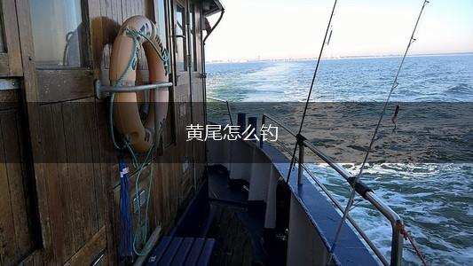 黄尾怎么钓,第1张