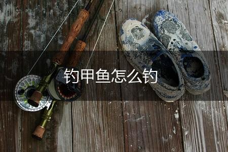钓甲鱼怎么钓,第1张