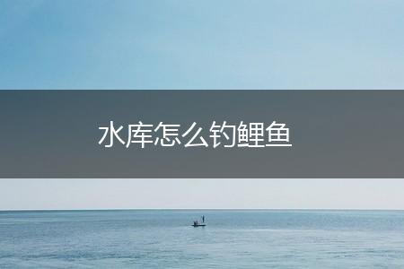 水库怎么钓鲤鱼,第1张