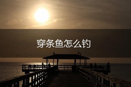 穿条鱼怎么钓,第1张