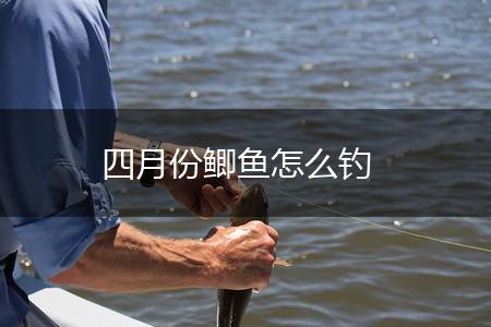 四月份鲫鱼怎么钓,第1张