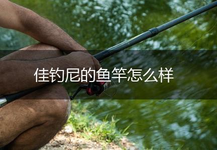 佳钓尼的鱼竿怎么样,第1张