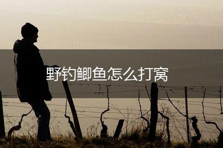 野钓鲫鱼怎么打窝,第1张