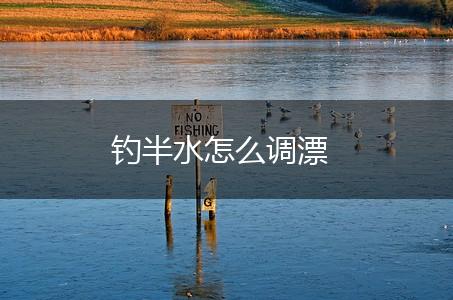 钓半水怎么调漂,第1张