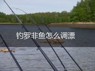 钓罗非鱼怎么调漂,第1张