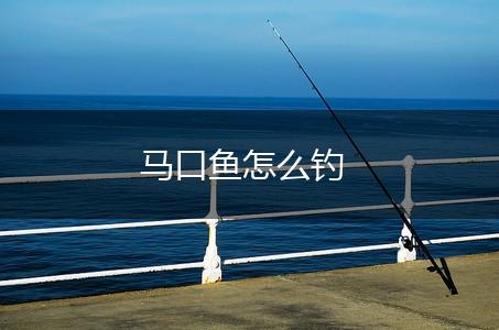 马口鱼怎么钓,第1张