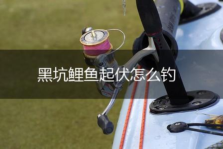 黑坑鲤鱼起伏怎么钓,第1张