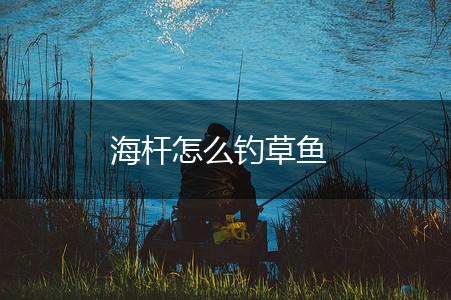 海杆怎么钓草鱼,第1张