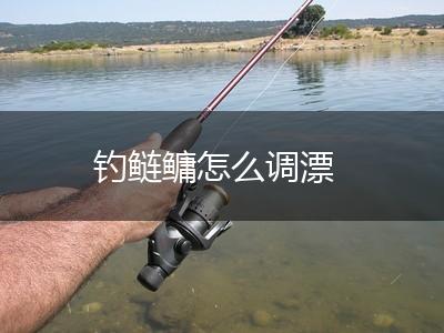 钓鲢鳙怎么调漂,第1张
