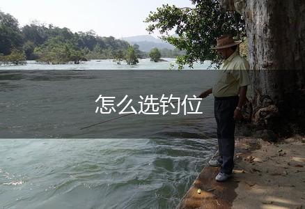 怎么选钓位,第1张