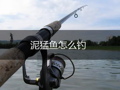 泥猛鱼怎么钓,第1张
