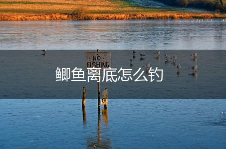 鲫鱼离底怎么钓,第1张
