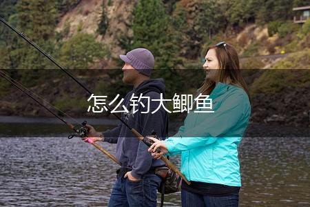 怎么钓大鲫鱼,第1张