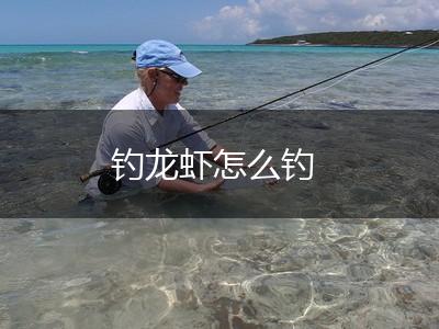 钓龙虾怎么钓,第1张