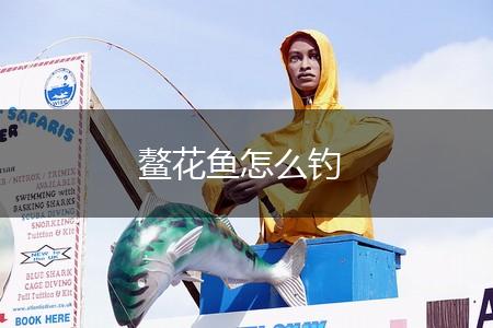 鳌花鱼怎么钓,第1张