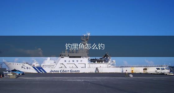 钓黑鱼怎么钓,第1张