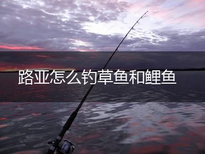 路亚怎么钓草鱼和鲤鱼,第1张