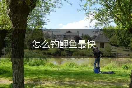 怎么钓鲤鱼最快,第1张