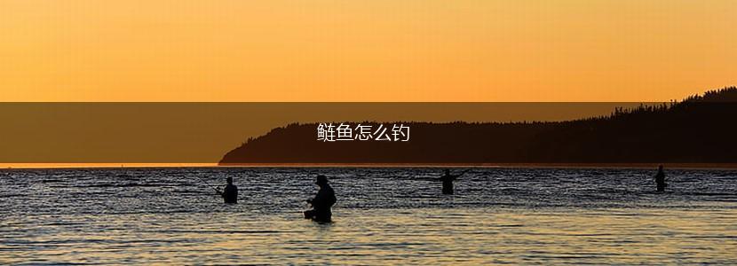 鲢鱼怎么钓,第1张