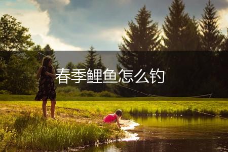 春季鲤鱼怎么钓,第1张