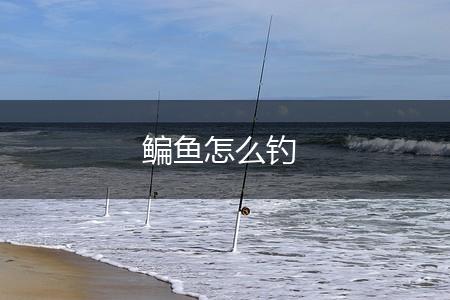 鳊鱼怎么钓,第1张