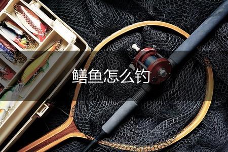 鳝鱼怎么钓,第1张