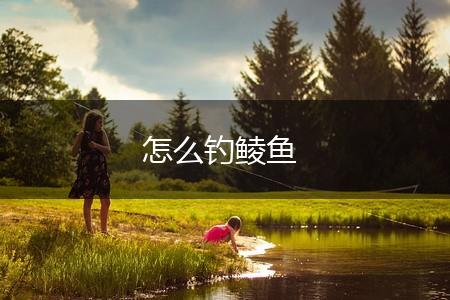 怎么钓鲮鱼,第1张
