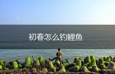 初春怎么钓鲤鱼,第1张