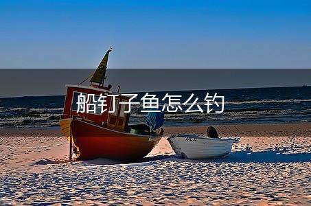 船钉子鱼怎么钓,第1张