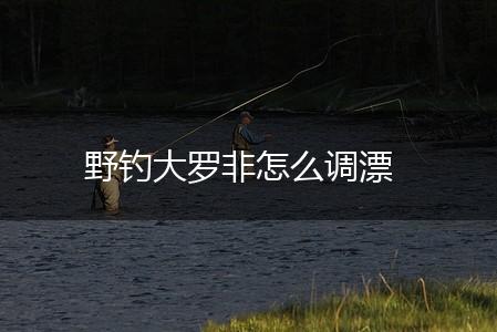 野钓大罗非怎么调漂,第1张