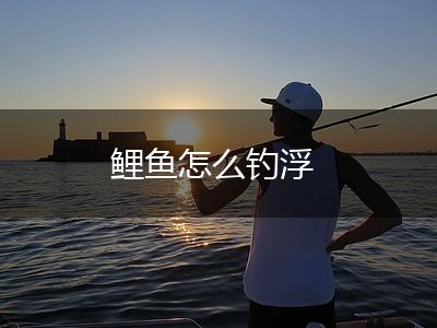 鲤鱼怎么钓浮,第1张