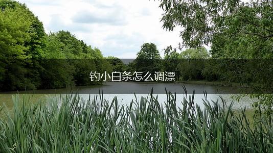 钓小白条怎么调漂,第1张