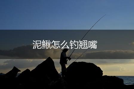 泥鳅怎么钓翘嘴,第1张