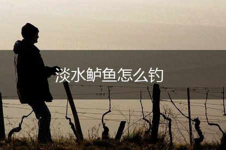 淡水鲈鱼怎么钓,第1张