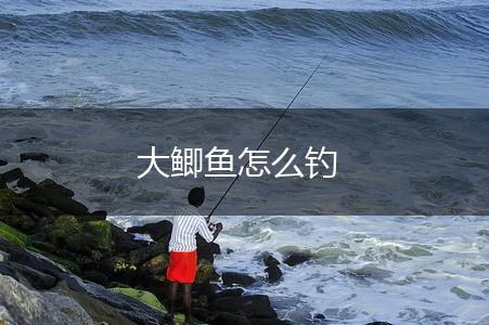 大鲫鱼怎么钓,第1张