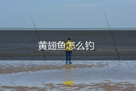 黄翅鱼怎么钓,第1张