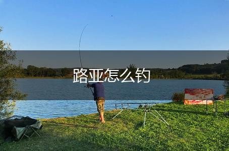 路亚怎么钓,第1张