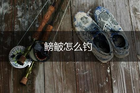 鳑鲏怎么钓,第1张