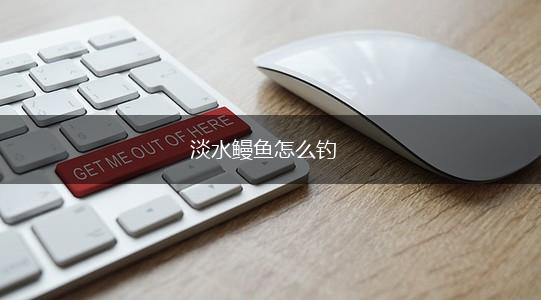 淡水鳗鱼怎么钓,第1张