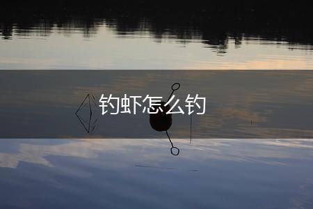 钓虾怎么钓,第1张