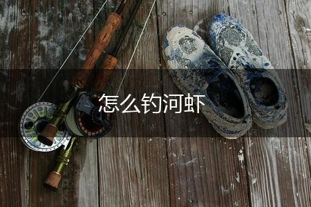 怎么钓河虾,第1张