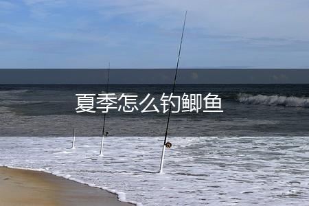 夏季怎么钓鲫鱼,第1张