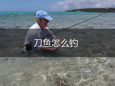 刀鱼怎么钓,第1张
