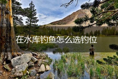 在水库钓鱼怎么选钓位,第1张