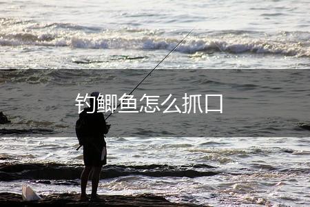 钓鲫鱼怎么抓口,第1张