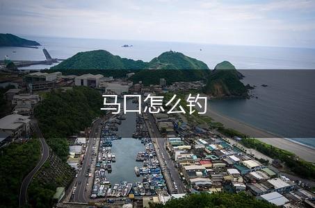 马口怎么钓,第1张