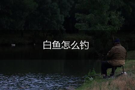 白鱼怎么钓,第1张