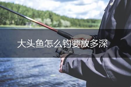 大头鱼怎么钓要放多深,第1张