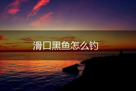 滑口黑鱼怎么钓,第1张