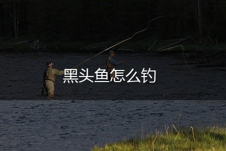 黑头鱼怎么钓,第1张